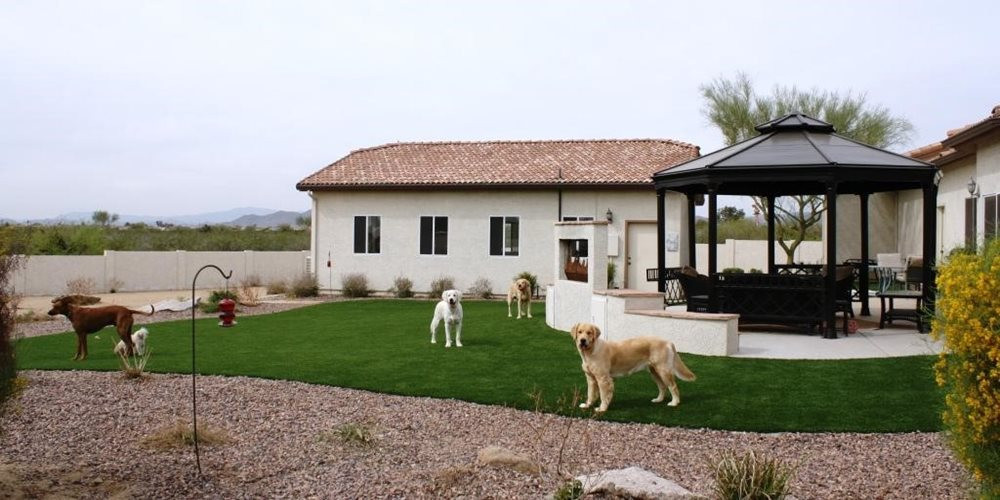 Metro New York artificial turf for dogs